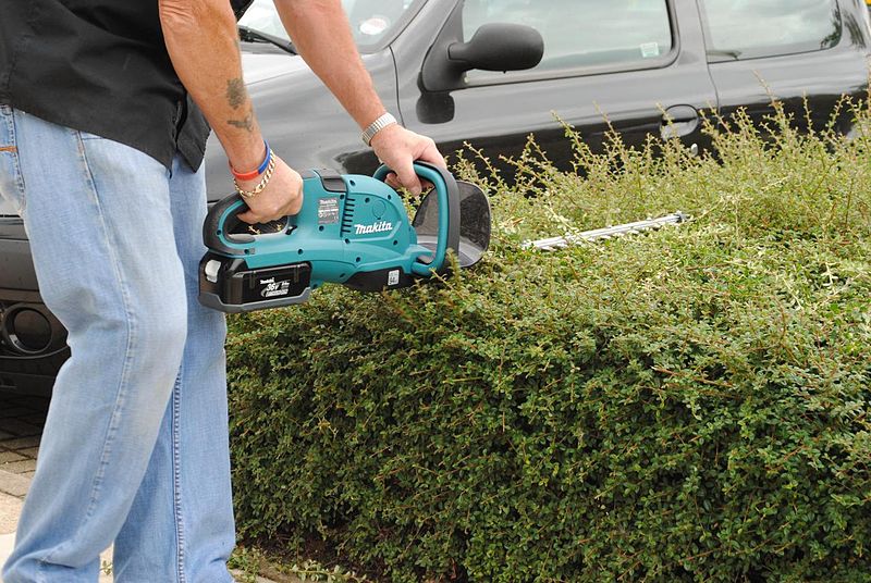 Hedge Trimmer in the UK