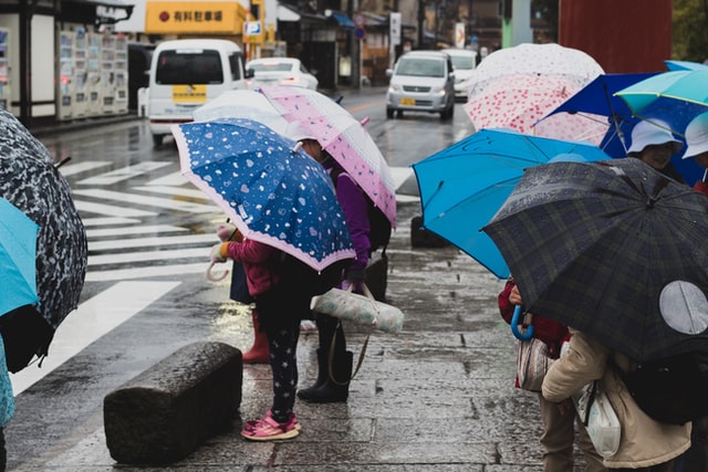7 Best Stores to Buy Kids Umbrellas in the UK